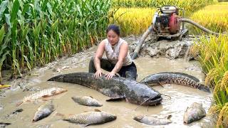 “Girl Uses Mud Suction Engine and Catches a Giant Monster Fish Creature”