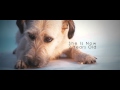 PLAYMEN ft. Christos Mastoras - Stand By Me Now (Official Video)