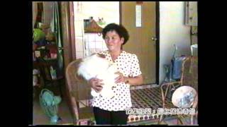 珍貴美濃山歌~搖籃歌 古堂財 李喜娣 珍貴美濃山歌~搖籃歌 古堂財 李喜娣