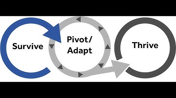 Strategies to Help Your Business Survive, Pivot and Adapt, then Thrive