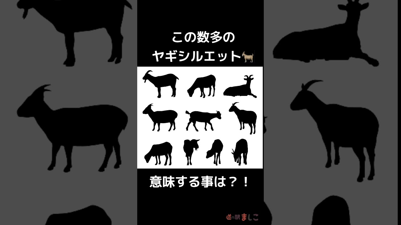告知 益子ヤギサミット開幕 Youtube