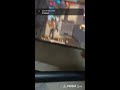 FREE FIRE LIVE GILD TEST 🥰 AND GIVEAWAY WINNER 🏆