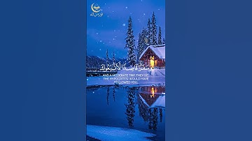 📖 انفروا خفافًا وثقالًا | أبو بكر الشاطري | سورة التوبة | تلاوة خاشعة تهز القلوب #القرآن_الكريم