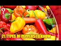 21 Types of Peppers to Know