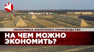 На чем можно экономить в производстве молока? | Экономика молочного животноводства