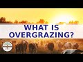 Understanding Overgrazing and Its Impacts