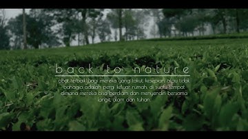 kebun teh tambi, dieng, wonosobo (back to nature)
