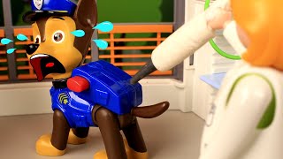 Chase Paw Patrol Is Sick Cartoons For Kids
