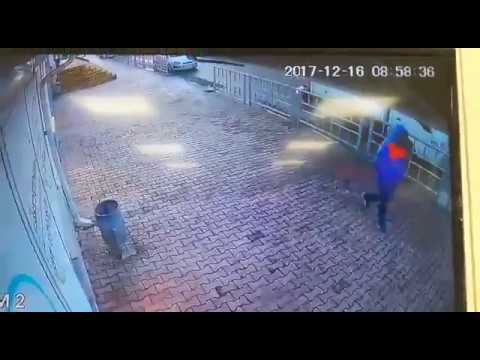 Кража из автомобиля квалификация