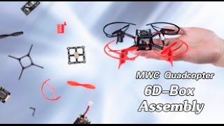 Famous Drone 6D-BOX MWC Multiwii Quadcopter Assembly Tutorials-Unboxing, Installing, Debugging, Calibration Net Worth