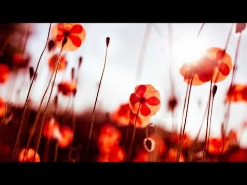 массаж терапия музыка - Собери свою безмятежность