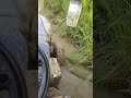 farmtrac 60 stunt