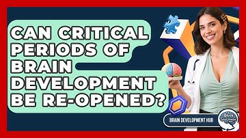 Can Critical Periods Of Brain Development Be Re-opened? - Brain Development Hub