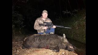 Hog Hunt with Chip Whitaker - Horn Swamp Hunting