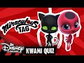 MIRACULOUS - Das Kwami-Quiz! | Disney Channel 🐞🐱