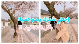 أفضل الماسكات لشعر صحي وطويل!!أحصلي على شعر خورافي بأقل التكاليف