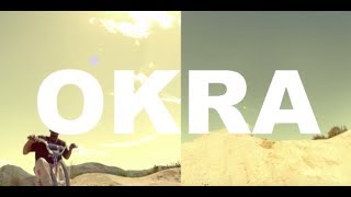 Video thumbnail of "Tyler, the Creator - OKRA"