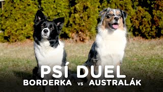 Duel  BORDERKA vs AUSTRALÁK  Tlapka TV