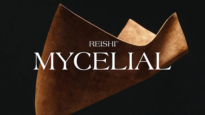 Reishi™ Mycelial | Made with Fine Mycelium™ by MycoWorks