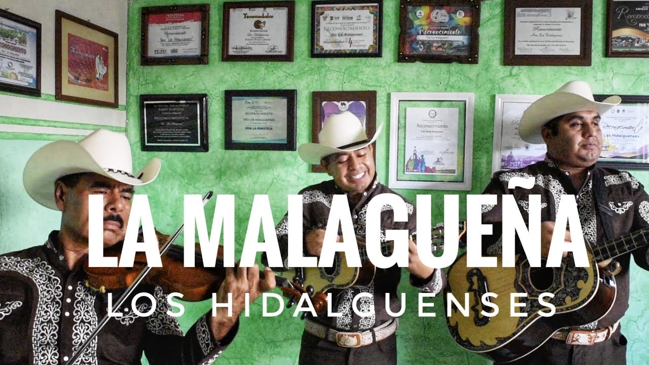 Trío Los Hidalguenses - La Malagueña