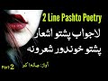 Pashto 2 line best poetry  2 line sad pashto shayari  pashto poetry point  saleh akbar  part2