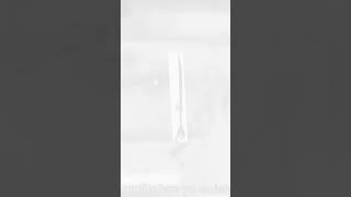 The Legs On The White Bus #sora #cocomelon #oldmacdonaldhadafarmpoem #childrensrhyme