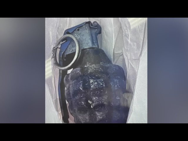 Grenade Removed From Outside Chase Bank In Queens Nypd