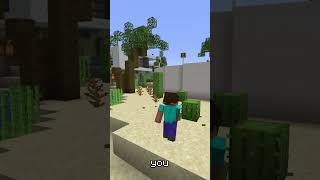 What's the best place to build your house ? #minecraft #mcfun #getrichquick #diamonds #earthsmp