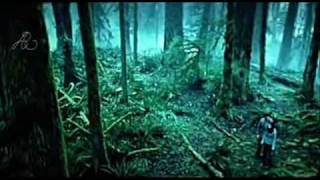 Version 2 of the video