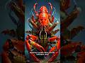Can Lobsters Really Not Die of Old Age ? #facts #savinglives #Immortallobsters #shorts