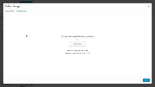 Setting Up Your WordPress Site Identity