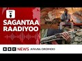 Hidhattoonni  Faannoo Noonnootti namoota  20 ol ajjeesuu | BBC News Afaan Oromoo