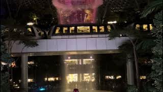 Indoor waterfall and rainforest at Jewel Changi Airport.😃HSBC RAIN VORTEX Friday11/8/23