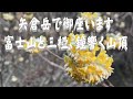 矢倉岳