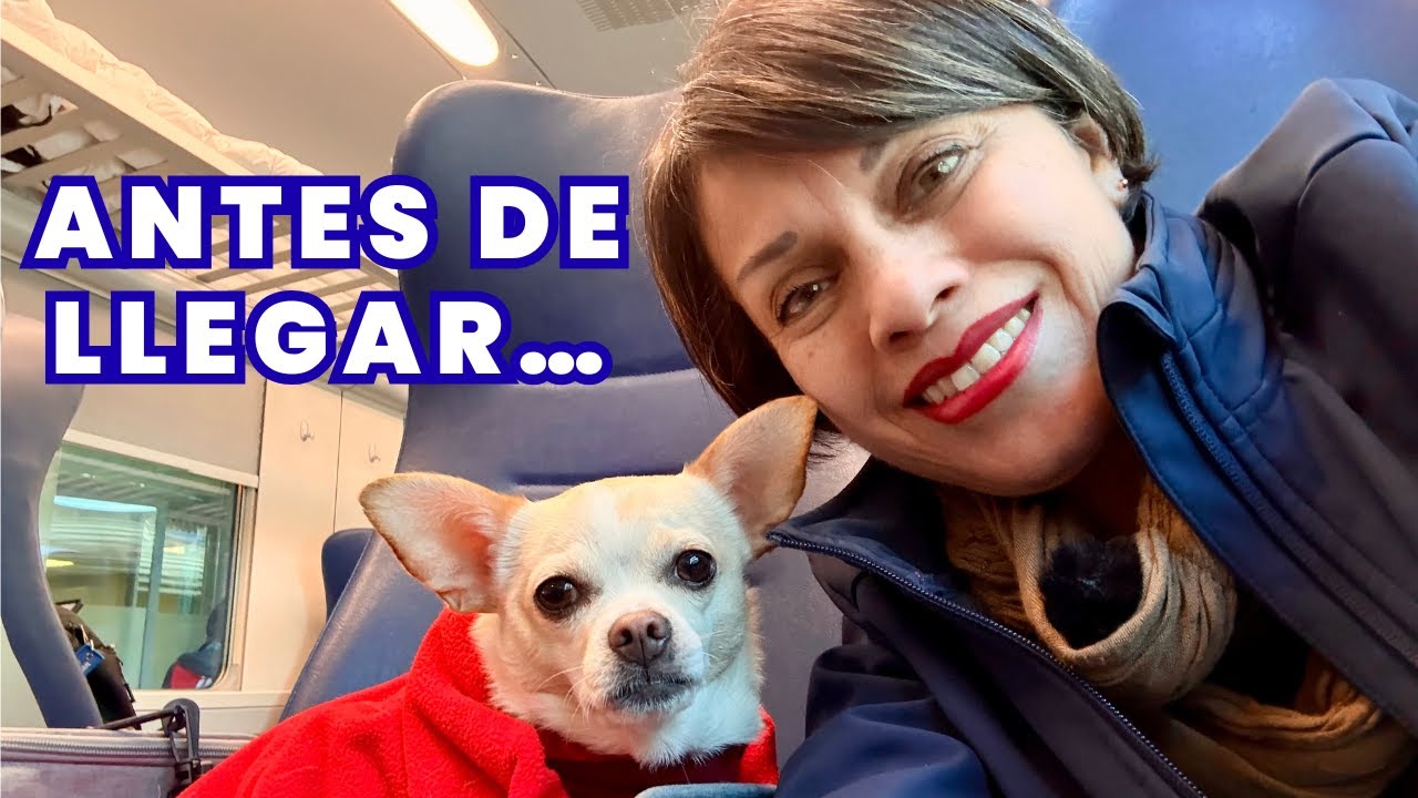 Antes de llegar, hicimos una pausa estratégica | Viajar con mi chihuahua 🐶🚆