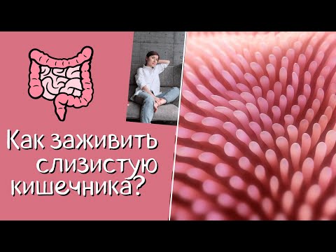 Видео: Как увеличить количество слизи в кишечнике: 11 шагов (с иллюстрациями)