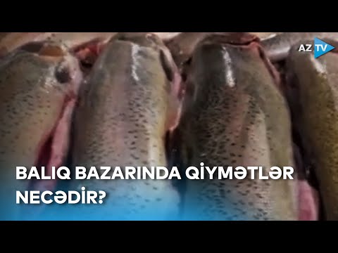 Məhsul çox, qiymətlər isə bahadır - Balıq bazarından REPORTAJ