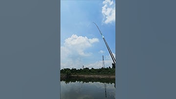 đi câu gặp ông táo và cái kết #fishing #caucathugian #shoprt #cauca