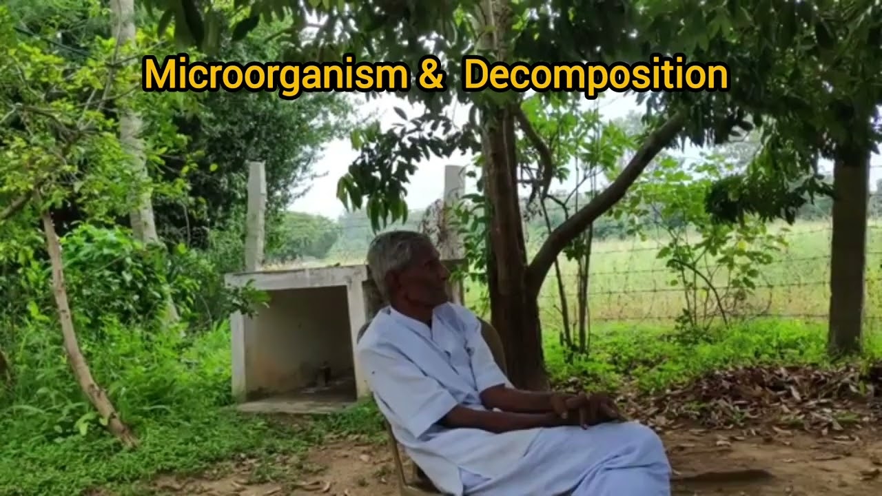 Micro organism & Decomposition