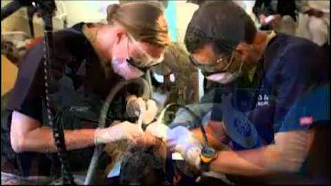 Chief of the National Guard Bureau video