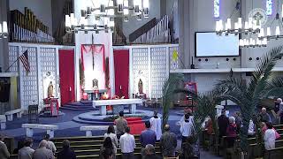 St. Pius Church Live Stream