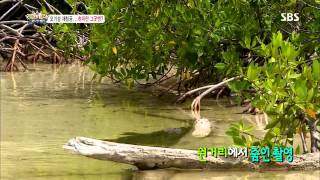 정글의법칙 in 캐리비언 130830 #40(1)
