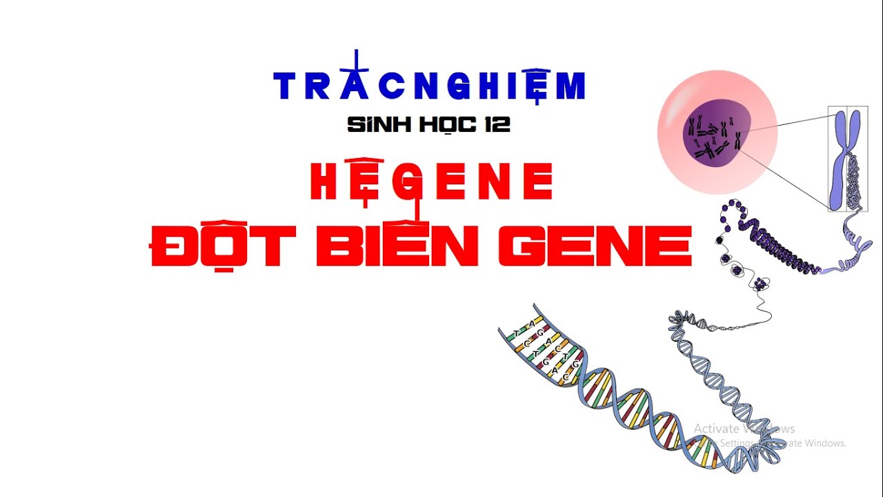 HỆ GENE - ĐỘT BIẾN GENE | TRẮC NGHIỆM CƠ BẢN SINH HỌC 12