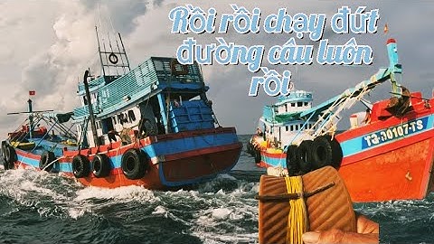 Ngư Phủ Hăng Say Khi Có Cá Câu Ngoài Giờ Bán Thu Mua|Đánh Cá 2025-Tập71|Sóng Biển Hứa Đông