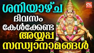 ശനിയാഴ്ച ദിവസം കേൾക്കേണ്ട അയ്യപ്പ സന്ധ്യാനാമങ്ങൾ | Ayyappa Devotional Songs Malayalam | Sandhyanamam