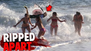 The HORRIFYING Last Minutes of Albert Kogler RIPPED APART By Great White Shark!