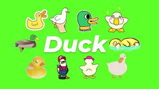Animated Duck GIF Green Screen Pack (Free Download)