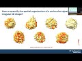Cellular harmonics for the analysis of molecular organization at the cell surface