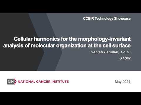 Cellular harmonics for the analysis of molecular organization at the cell surface