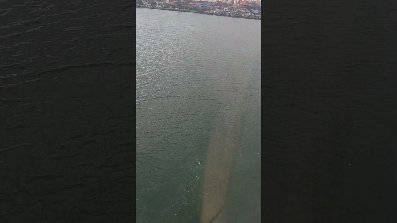 Seeing loads of garbage in Manila bay when 2Go passing by